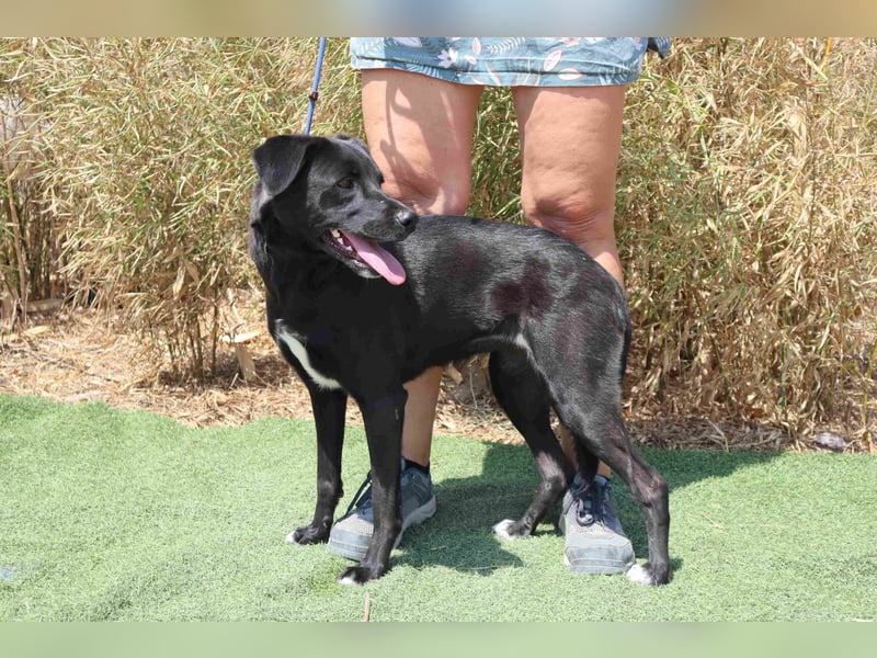 Lua ❤️ sanft und freundlich - lebte in einer Wohnung in der Stadt