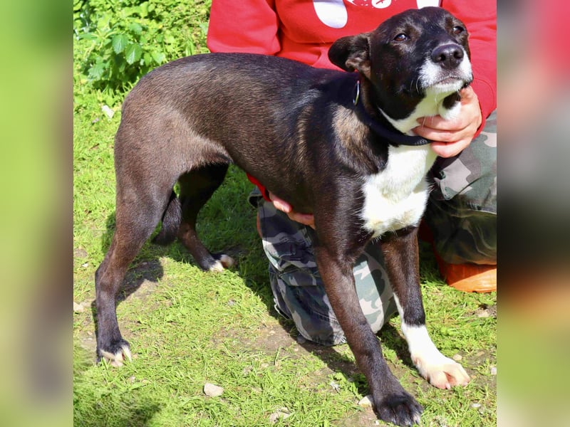 DAINA wurde mit ihrer Mutter und ihrem Bruder ausgesetzt ~ aber das liegt hinter ihr