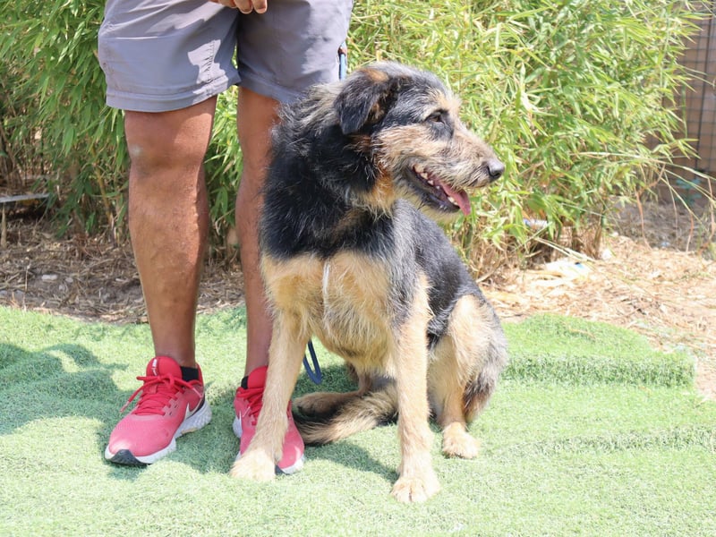 M ❤️ I ❤️ A - sehr gehorsam und sanft ~ aber nicht mehr gewollt