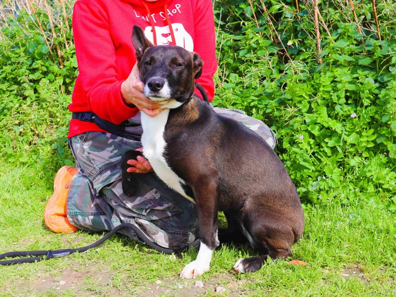 DAINA wurde mit ihrer Mutter und ihrem Bruder ausgesetzt ~ aber das liegt hinter ihr