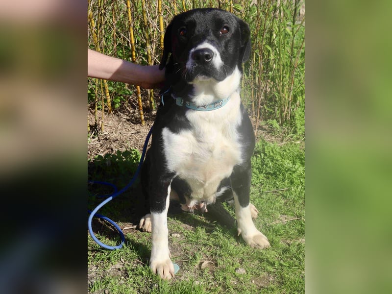 DAINA wurde mit ihrer Mutter und ihrem Bruder ausgesetzt ~ aber das liegt hinter ihr