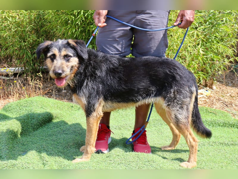 M ❤️ I ❤️ A - sehr gehorsam und sanft ~ aber nicht mehr gewollt