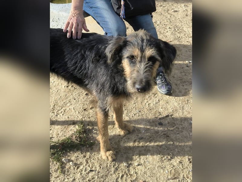 M ❤️ I ❤️ A - sehr gehorsam und sanft ~ aber nicht mehr gewollt