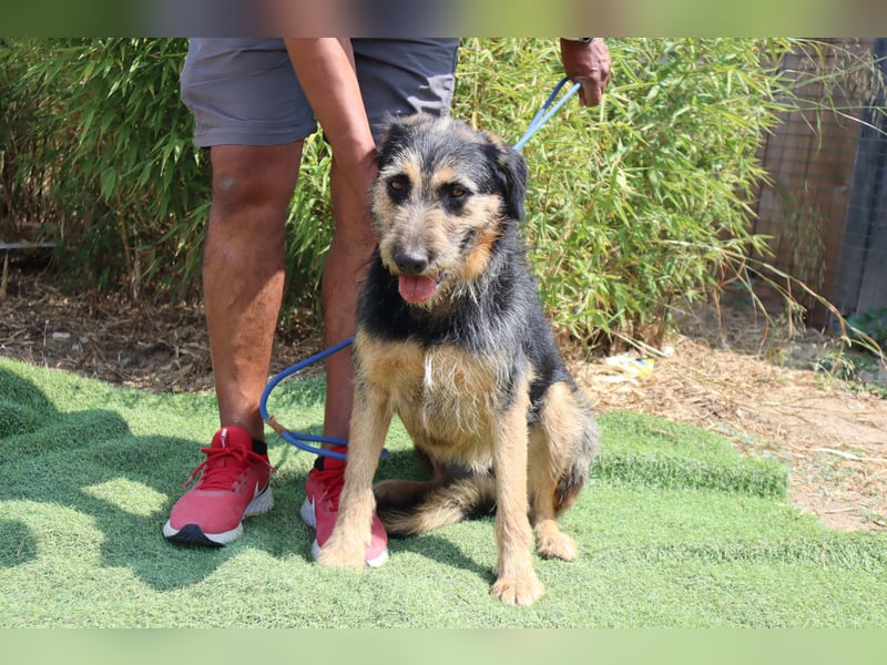 M ❤️ I ❤️ A - sehr gehorsam und sanft ~ aber nicht mehr gewollt