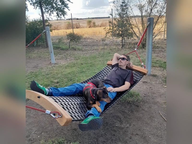 Risto - Charmeur sucht Sofa Risto - Charmeur sucht Sofa