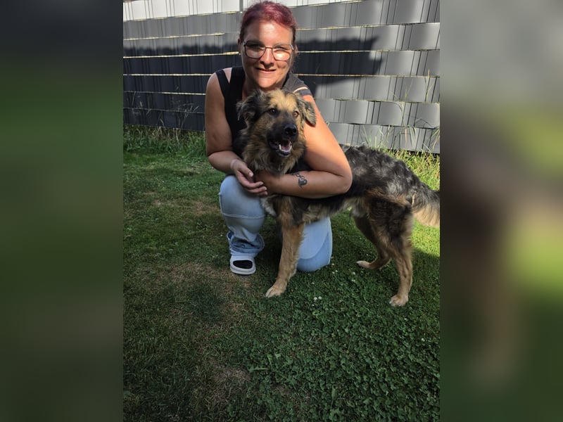 Zeus sucht eine neue Familie