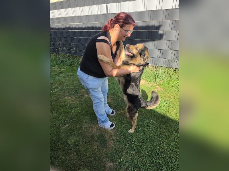 Zeus sucht eine neue Familie