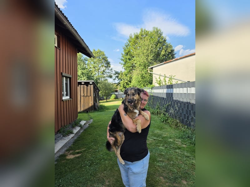 Zeus sucht eine neue Familie