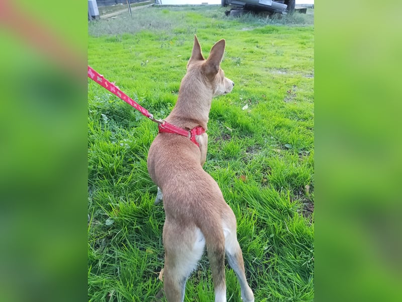 Gad–vom Rand der Straße in Ihr Herz!