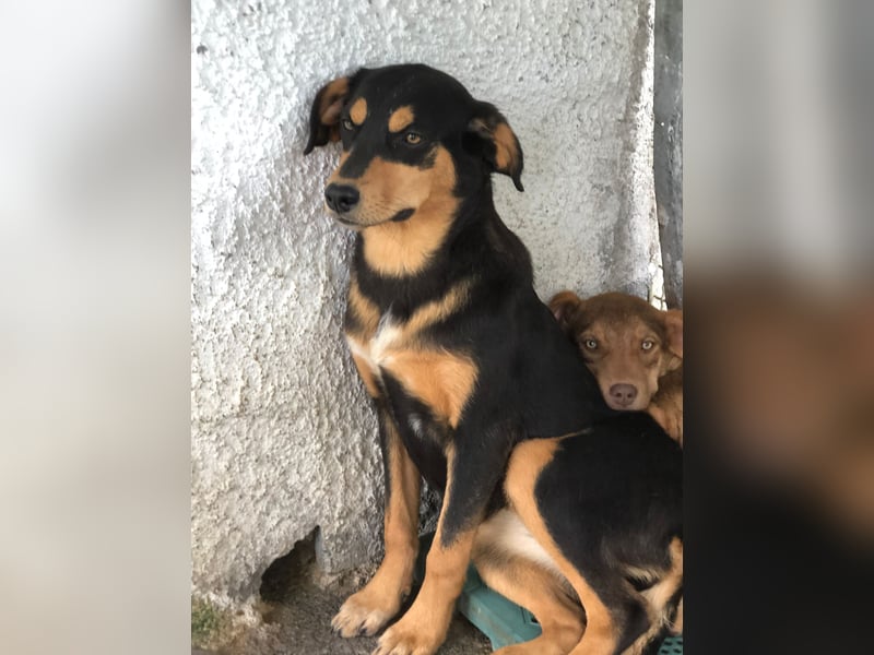 Schöne Bonnie wünscht sich eine Couch