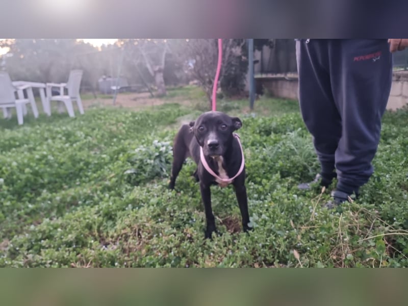 Bamby wartet auf ihre Chance!