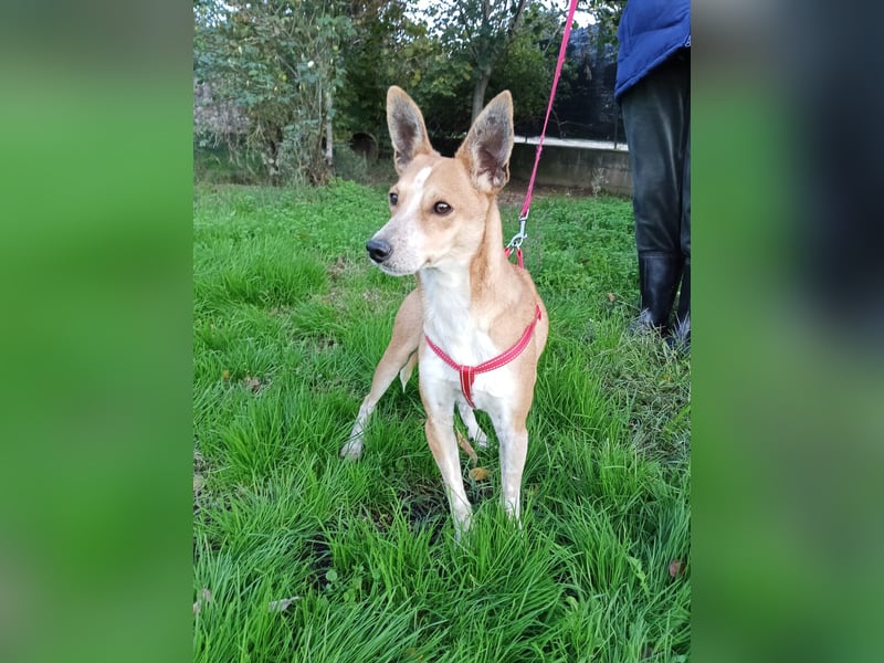 Gad–vom Rand der Straße in Ihr Herz!