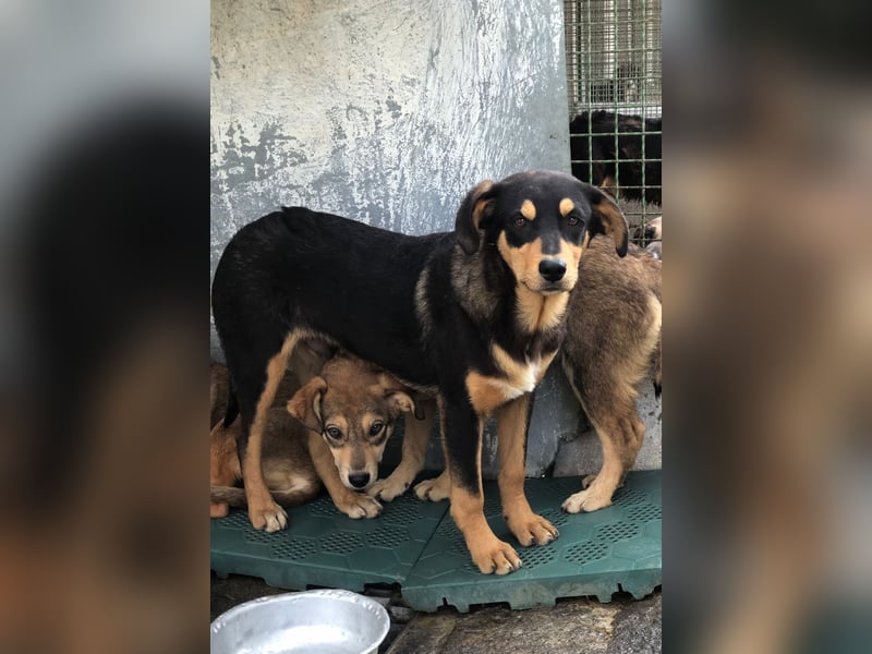 Schöne Bonnie wünscht sich eine Couch