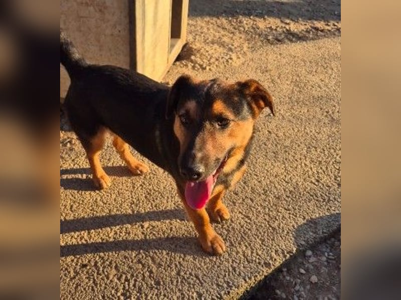 zauberhafter, lieber Trusty