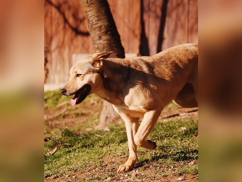 schüchterne Laura sucht