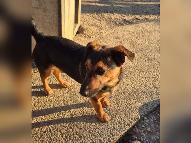 zauberhafter, lieber Trusty