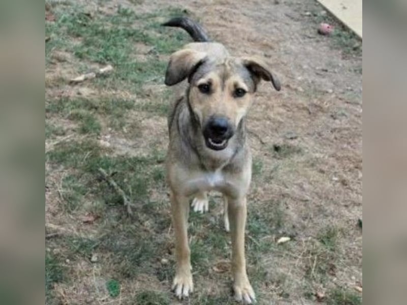schüchterne Laura sucht