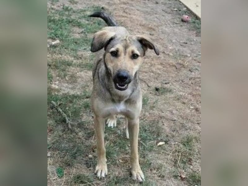 schüchterne Laura sucht