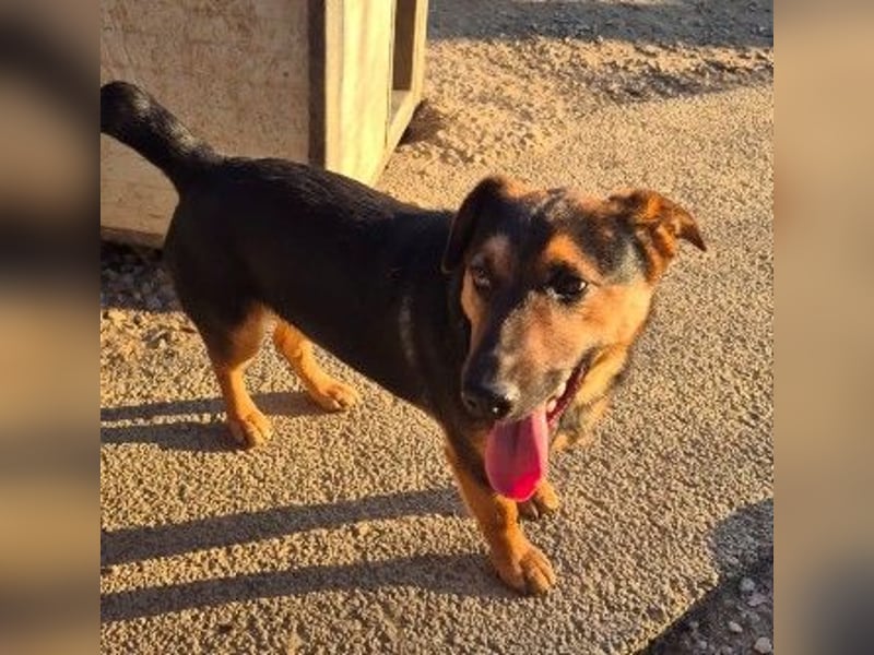 zauberhafter, lieber Trusty