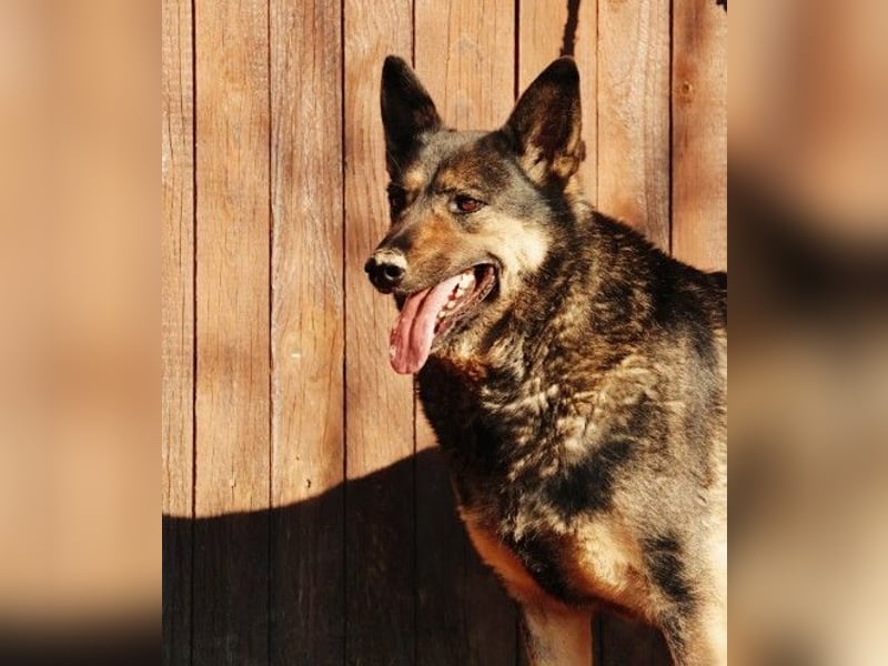 Schüchterner Emil hofft endlich ankommen zu können