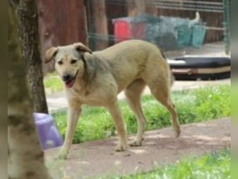 schüchterne Laura sucht