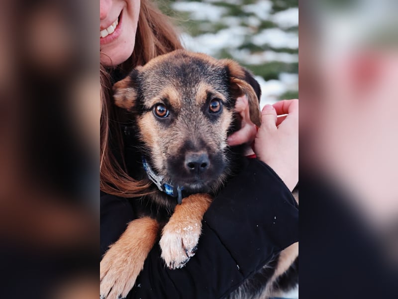 Zuckersüße, sanfte Yuna sucht ihre Herzensmenschen