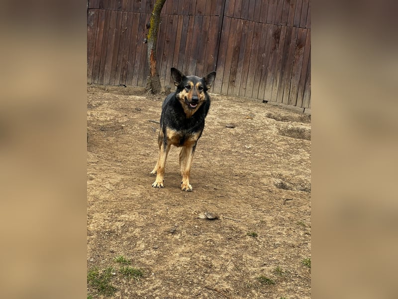 schüchterner Emil sucht