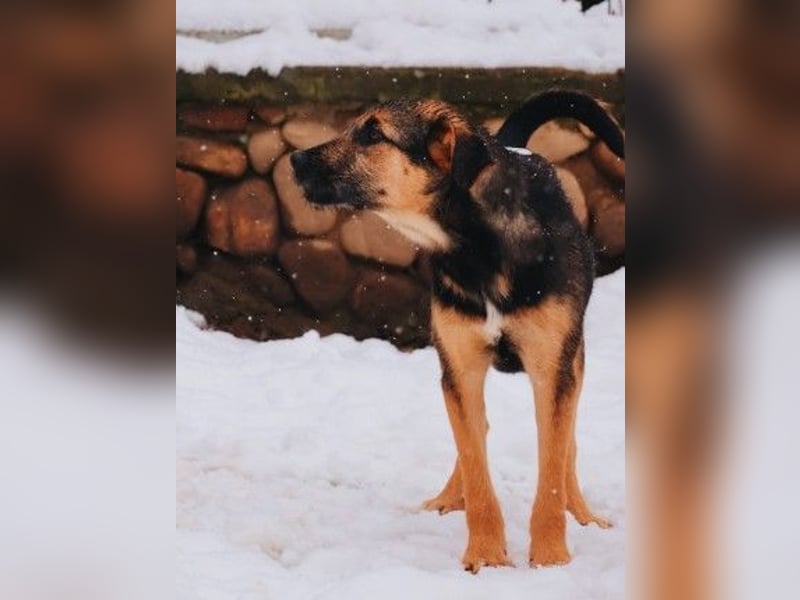 Zuckersüße, sanfte Yuna sucht ihre Herzensmenschen