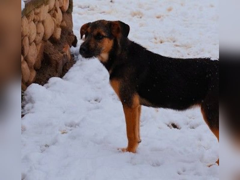 Zuckersüße, sanfte Yuna sucht ihre Herzensmenschen