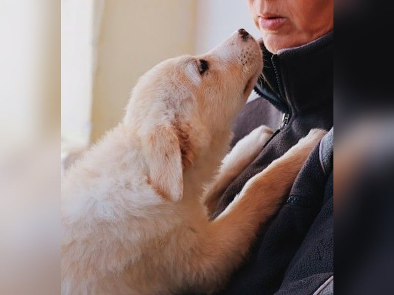 zauberhafter Welpe Zora