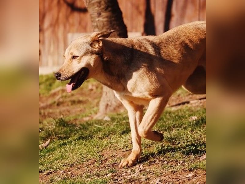 schüchterne Laura sucht