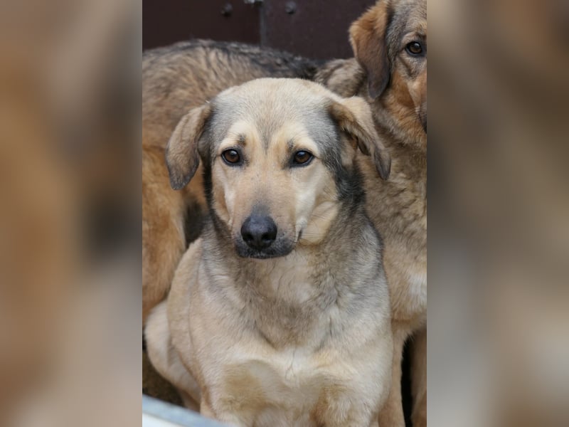 Laura sucht ihre Menschen