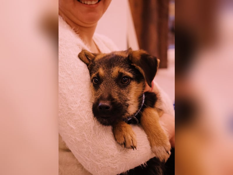 Zuckersüße, sanfte Yuna sucht ihre Herzensmenschen