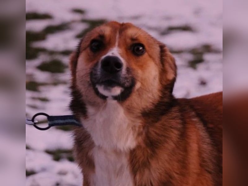 wunderschöner, lieber Bobby