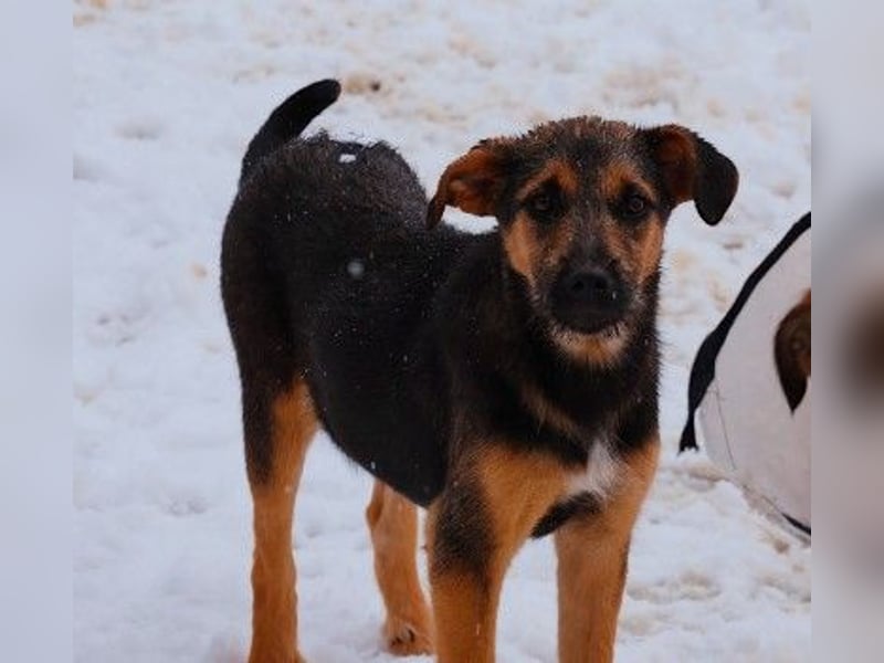 Zuckersüße, sanfte Yuna sucht ihre Herzensmenschen