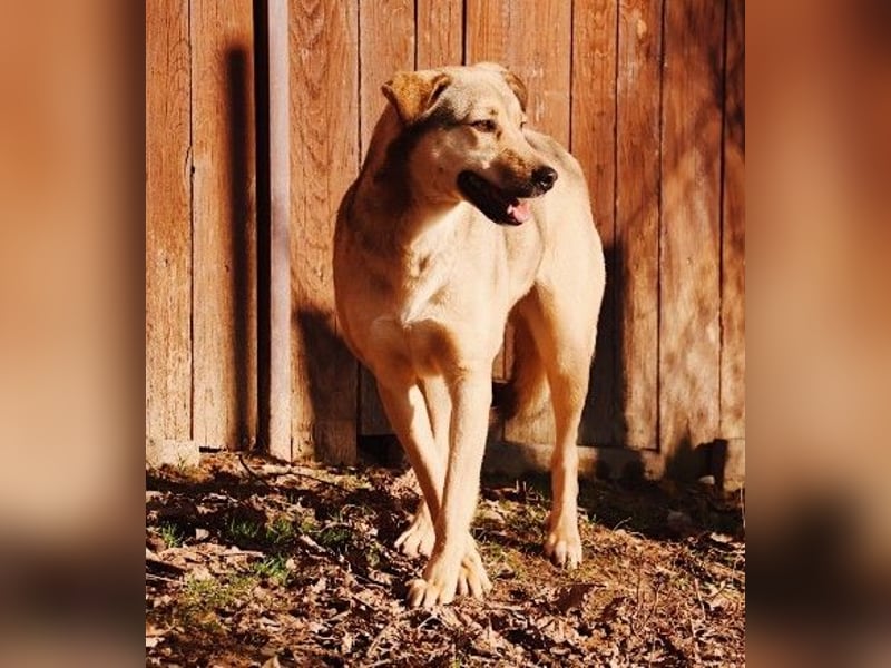 schüchterne Laura sucht