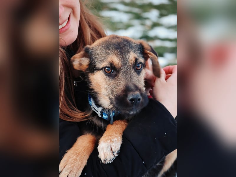 Zuckersüße, sanfte Yuna sucht ihre Herzensmenschen