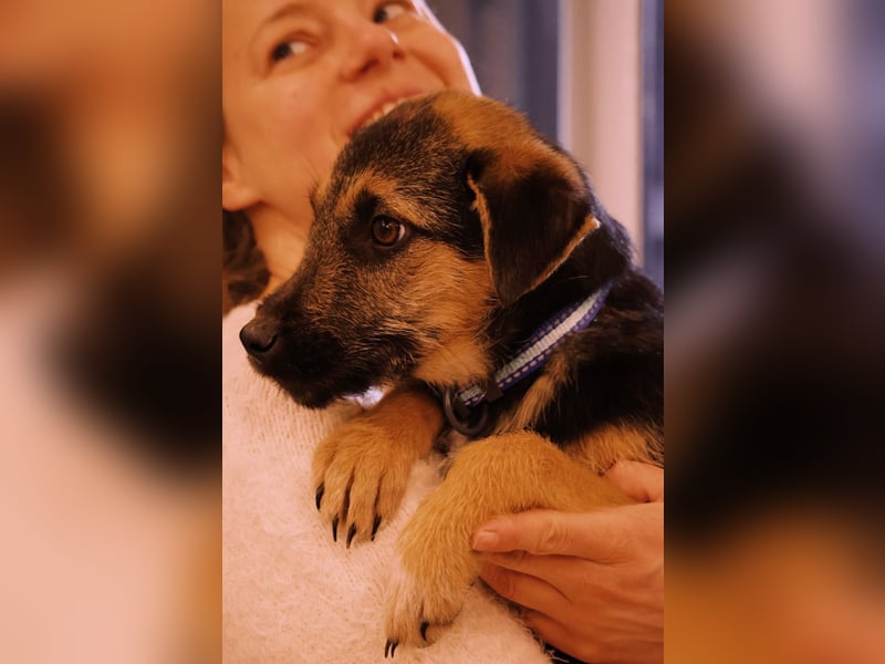 Zuckersüße, sanfte Yuna sucht ihre Herzensmenschen