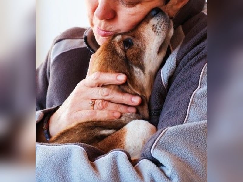 zauberhaftes Welpenmädchen Zoey