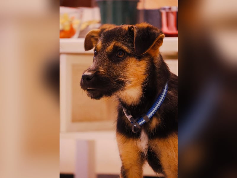 Zuckersüße, sanfte Yuna sucht ihre Herzensmenschen