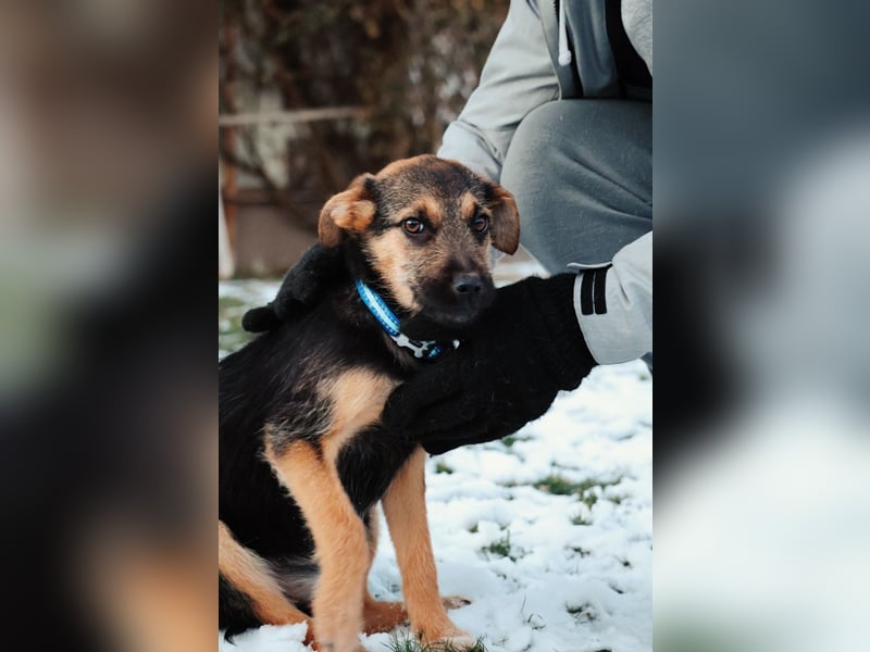 Zuckersüße, sanfte Yuna sucht ihre Herzensmenschen