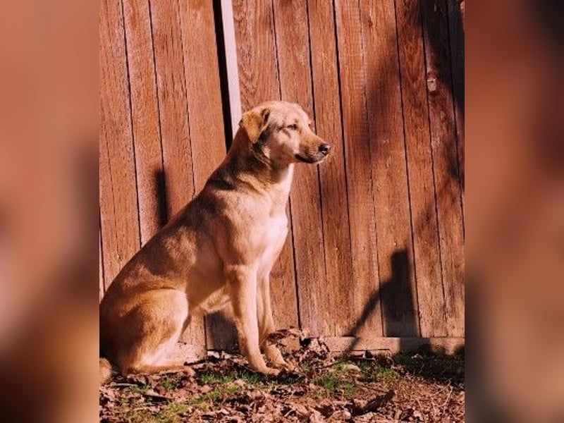 schüchterne Laura sucht