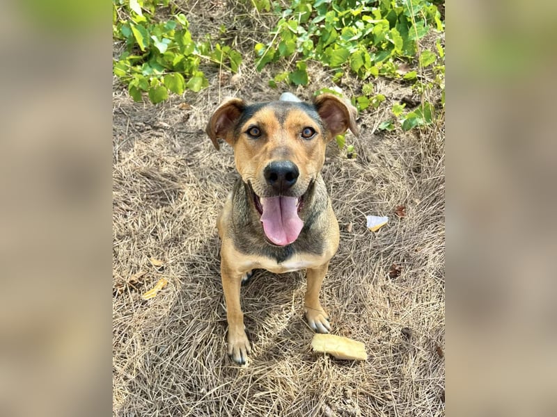 Kai – seine Freunde durften reisen… er wartet immer noch