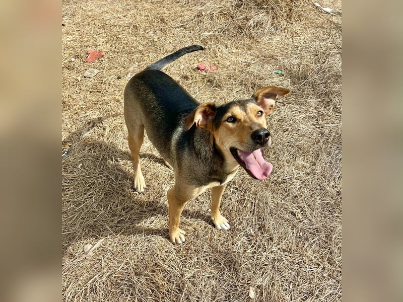 Kai – seine Freunde durften reisen… er wartet immer noch