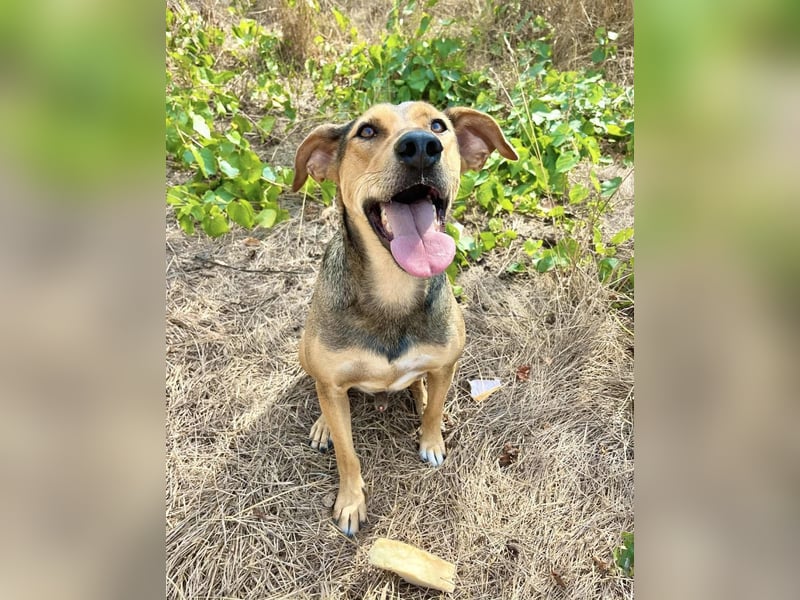 Kai – seine Freunde durften reisen… er wartet immer noch