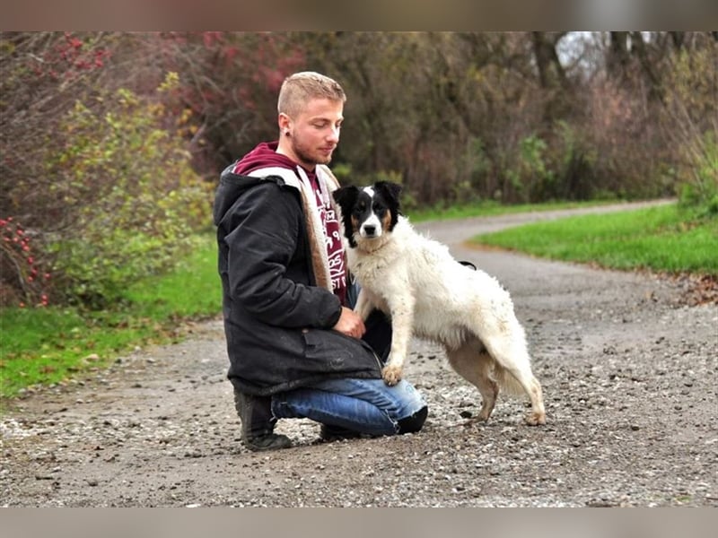 Evan S147 hat einen fröhlichen, verspielten ch