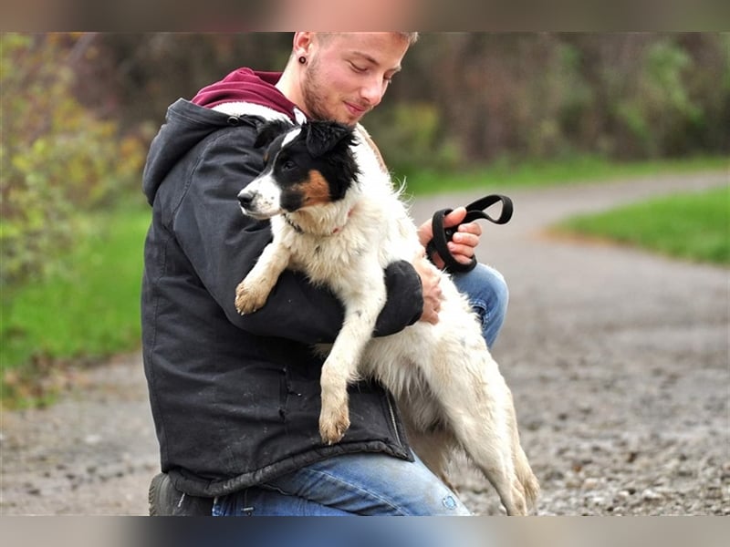 Evan S147 hat einen fröhlichen, verspielten ch