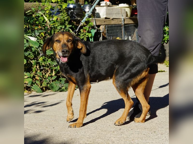 Meizi sucht ein Zuhause