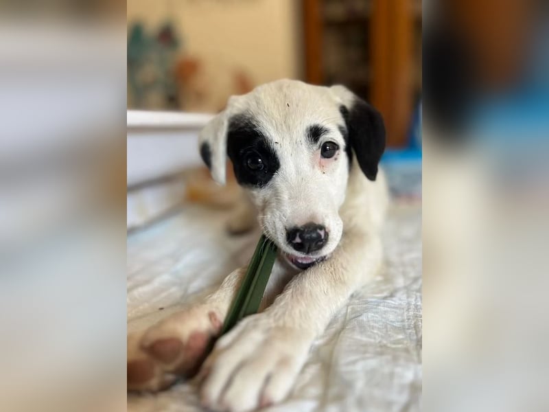 Beverly – neugierig, stark und bereit fürs Abenteuer Leben