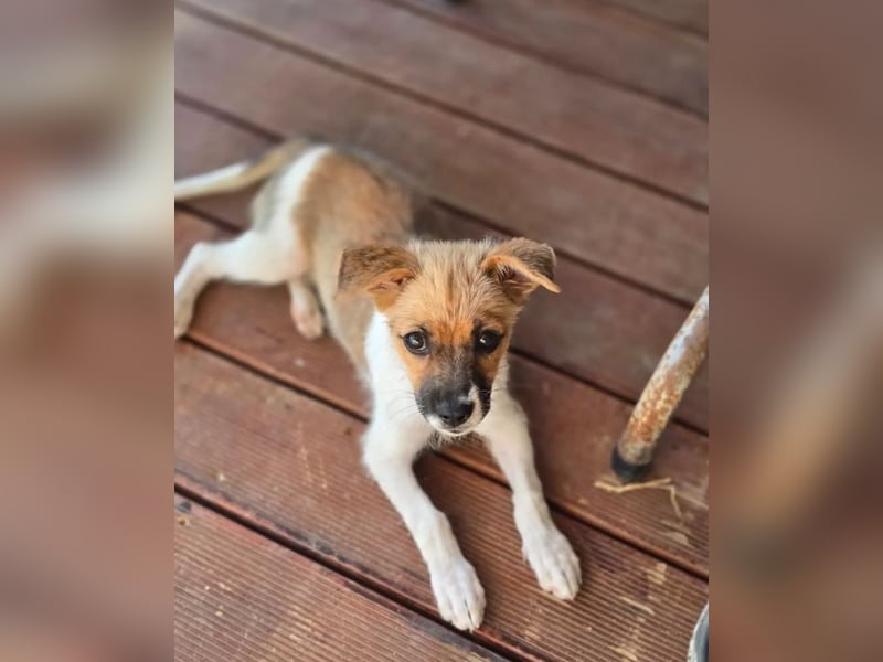 Mavy – kleine Maus mit ganz viel guter Laune ❤️